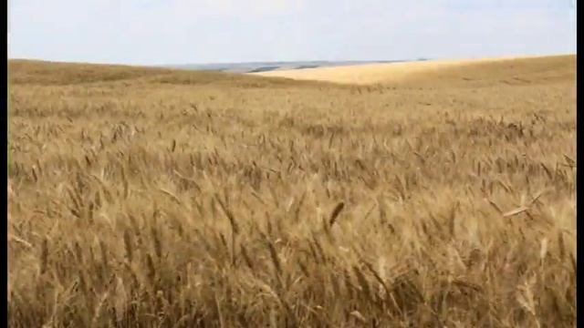 Як прокидається твоя Батьківщина? смотреть онлайн