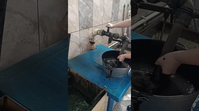 Санаторий Хилово 🌊 смотреть онлайн