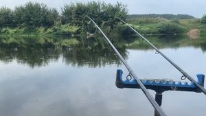 Фидерная рыбалка на реке Днепр в августе, ловим молодых лещей и сомов