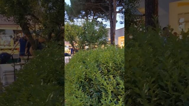 Ах...как она поет 😍 Italien Liev Musik 😍 смотреть онлайн