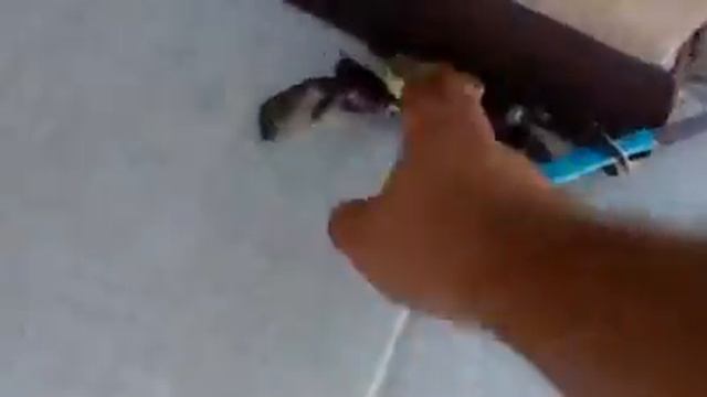 Ne jamais donner un couteau à un crabre смотреть онлайн