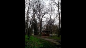 Санаторий Цюрупы Апрель