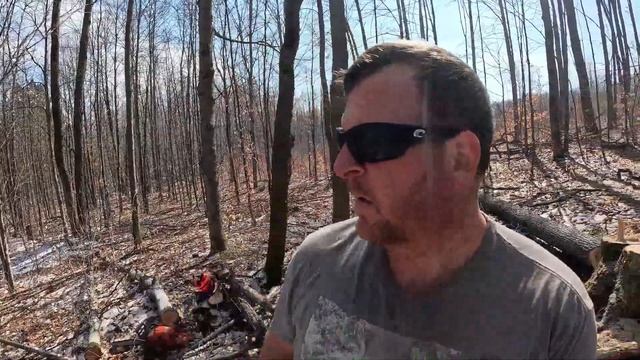 FOUR YEARS This Project Has Been on Hold - Developing Our Off Grid Land and Homestead смотреть онлайн