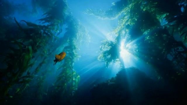 Keiko Matsui   Tears Of The Ocean