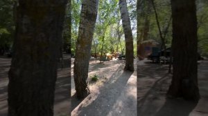 Отдых.Лето.Отпуск.Волгоград.Хуторок у Дона.Семейный отдых.