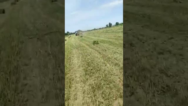 Немецкий вязальный аппарат #киргистан#прессподборщик#немецкийаппарат#симпа#класс#велгер#тукан#