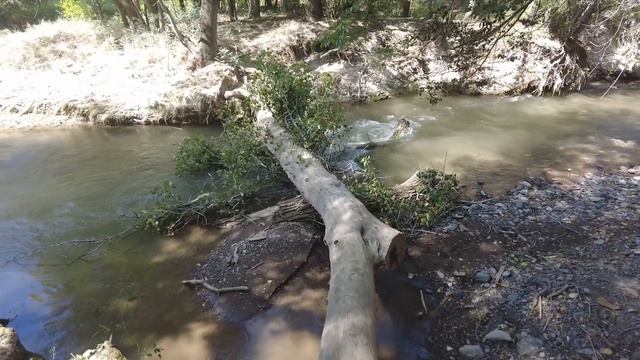 Каньоны Бестамак и Темирлик | 14 августа 2024 смотреть онлайн