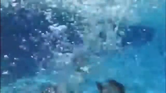 Купаемся в бассейне! смотреть онлайн