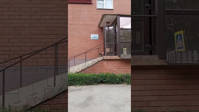 #переездвроссию обзор гостиница "Никольская" г.Челябинск смотреть онлайн