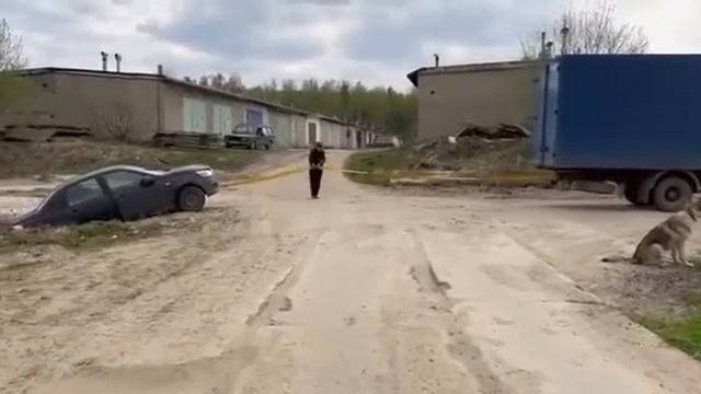 медвежья услуга смотреть онлайн