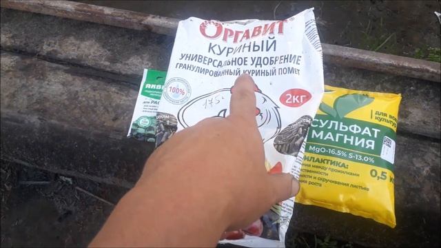 Подкормка лука и чеснока для зелёного пера.
