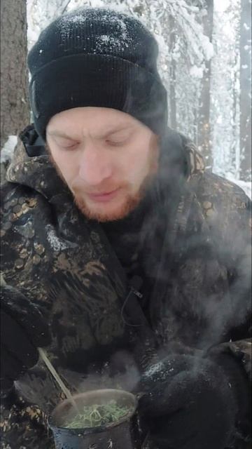 Суп-бульон из мха. Чем питаться в тайге. #выживание #бушкрафт #лес #кемпинг #зима смотреть онлайн