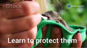 Born Free, Spotlight 7