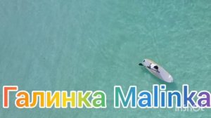 Вредина Лайф /Испортила все окончательно /Обзор Влогов /Vredina Life /