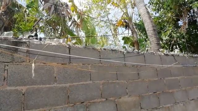 Вьетнам. Муйне. 31 смотреть онлайн