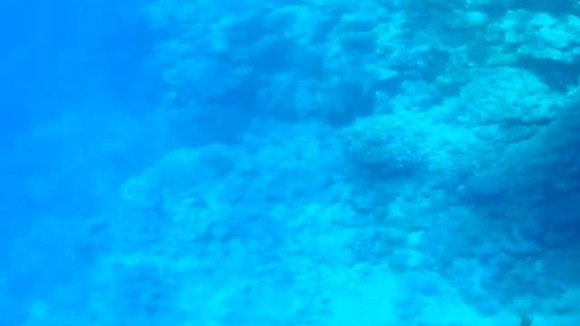 Риф отеля Sunrise Diamond Beach Resort #2 01 смотреть онлайн