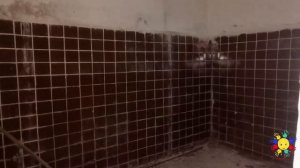 Спасти пионерский лагерь Ладожец значит спасти память о Блокадном Ленинграде Дорога жизни как симво