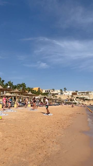 Sierra-Savoy beach. Sharm el Sheikh. Egypt. Red Sea. Египет. Пляж отеля Сиерра-Савой. Шарм эль Шей смотреть онлайн