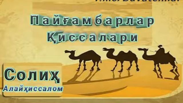 Солиҳ Алайҳиссалом. «Самуд қавмининг ҳалокати» смотреть онлайн