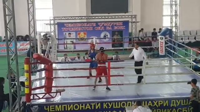 Бокс дар Душанбе, ТОЧИКИСТОН, САНБОЙ.ТВ, я таджик смотреть онлайн