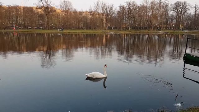 Зеленоградск смотреть онлайн