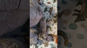 обзор на Мой рюкзачок ору