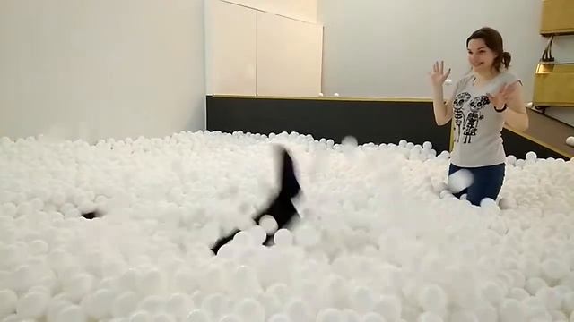 веселье в бассейне смотреть онлайн