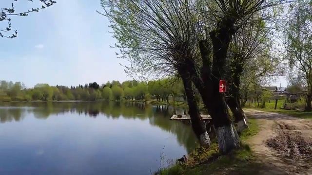 ЗоЛиКс. Пруд Килемарка.17.05.2017