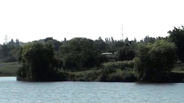 Пос. Пески Донецкая область лето 2006 года