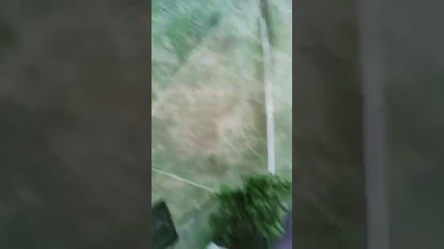 Димон, Снежана, Владимер, Ольга, Марк и КАРЕЛИЯ! ОНЕЖСКОЕ ОЗЕРО! смотреть онлайн