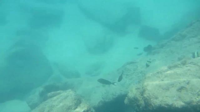 Подводный мир Найтонбури. Эпизод 2 смотреть онлайн