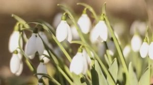 вдвоем с тобой // Сергей Чуб // время V минус