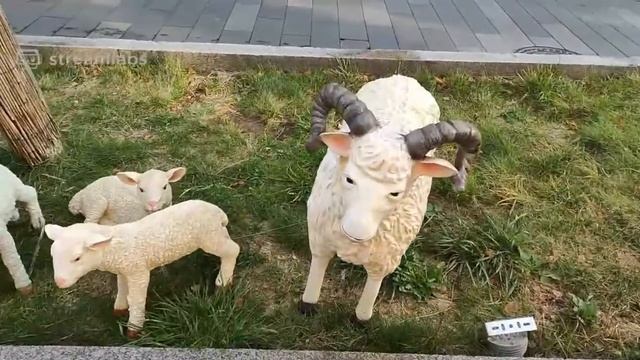 СТРОГО, ЧБ, ЛИКС ГУЛЯЮТ ПО МОСКВЕ смотреть онлайн