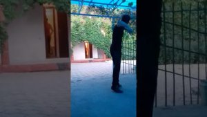 Баха попито танцует