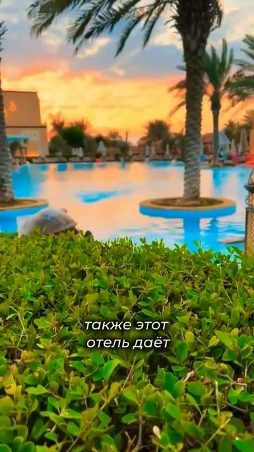 Абу-Даби 🧘 ОАЭ .Обзор отеля #travel#shorts#остров