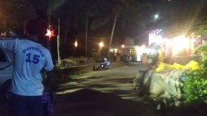 Рождество и Новый год в ГОА. Бенаулим