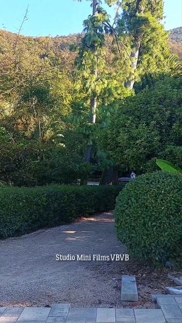 Осеннее утро в Гагре ☀️🌴🍂 Лето можно найти в любое время года ☀️❤️ смотреть онлайн