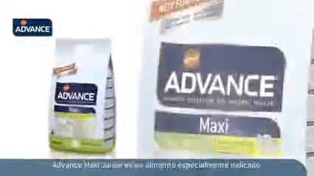 Advance: pienso para perros Maxi Adult