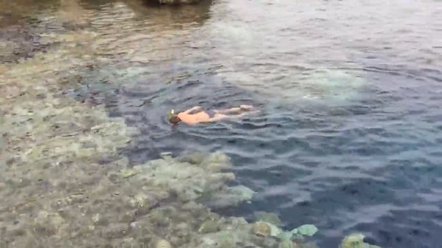 29 ноября 2016 шарм эль шейх Египет море смотреть онлайн