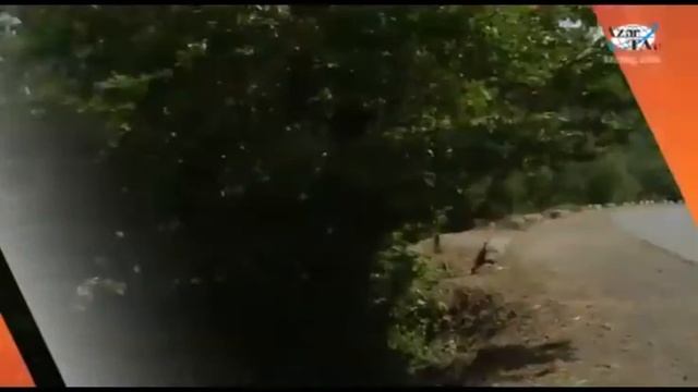 Путешествуя по Азербайджану. Баку - Масаллы. Видеогид. смотреть онлайн