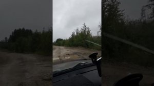 дорога токур стойба благовещенск.19 июля 2017г