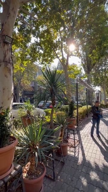 Погода в Ереване в ноябре 😎 смотреть онлайн