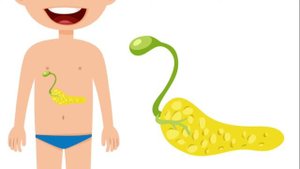 Ovqat Hazm qilolmaslik, ich qotishi, Qorin dam bo'lishi, jig'ildon qaynashi.1-qism