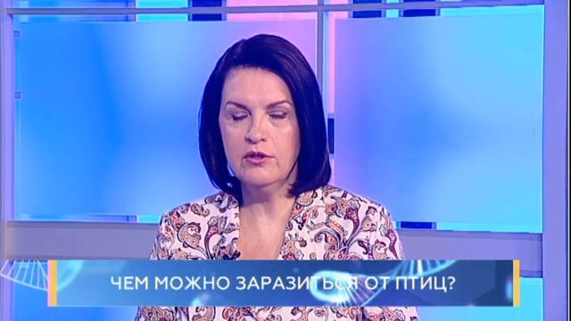 Чем можно заразиться от птиц? Школа здоровья. GuberniaTV смотреть онлайн