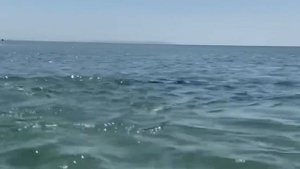 Какая температура Черного моря на курортах Краснодарского края