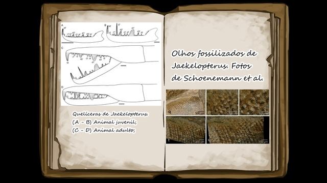 Jaekelopterus  Enciclopédia da Vida Extinta - J