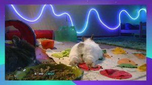 Измена жены с иностранцем на отдыхе с семьей, которая привела к разводу - Удивительные истории