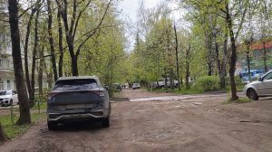 Как быстро всё позеленело!!! 👍👍👍