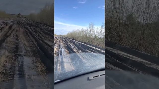 Приобка 23.05.2022 смотреть онлайн