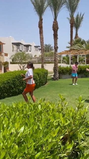 Egypt 2022. Hotel Albatros Royal Grand. Sharm el Sheikh. Египет. Шарм эль Шейх смотреть онлайн